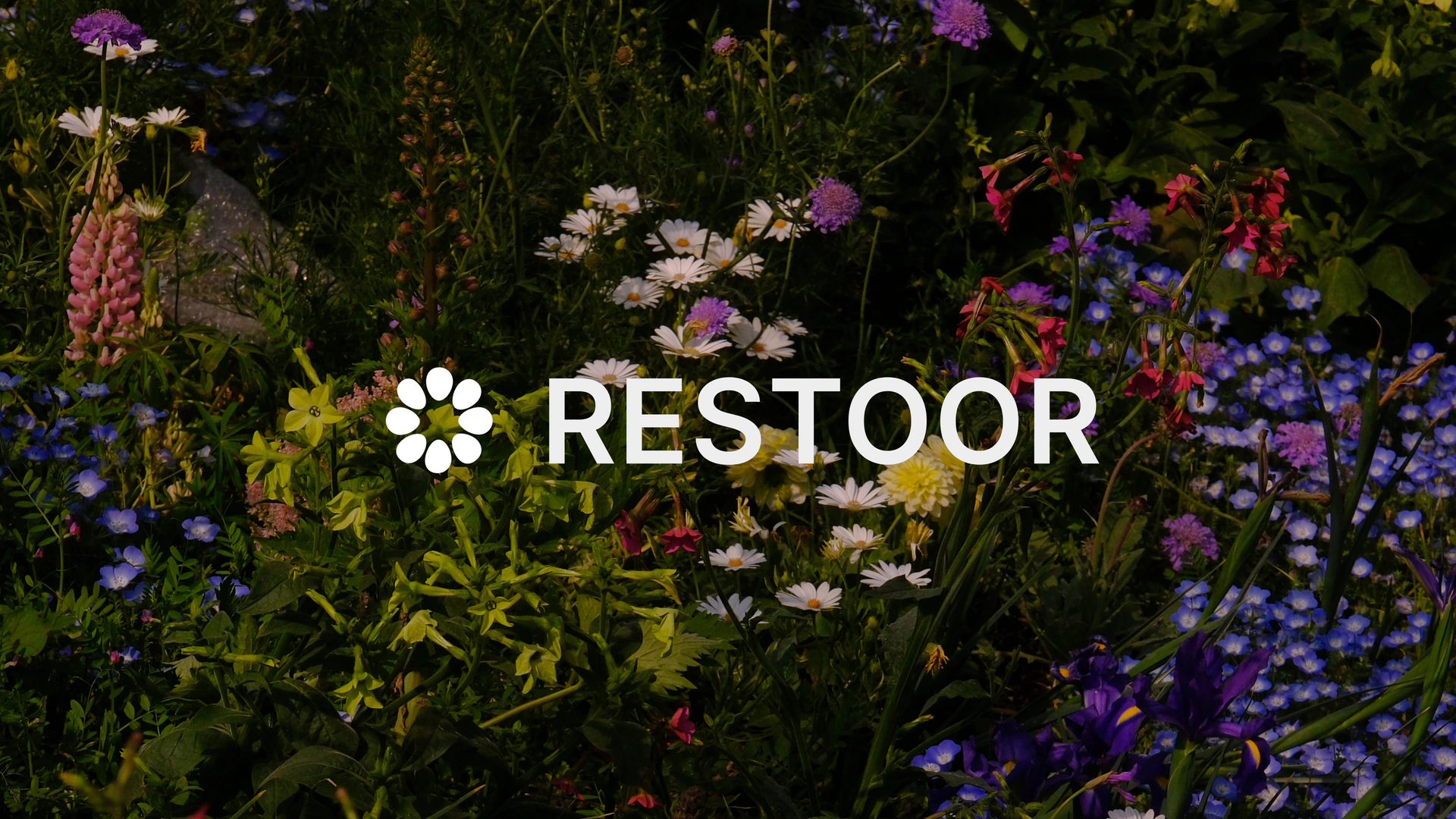 RESTOOR — selected work 1