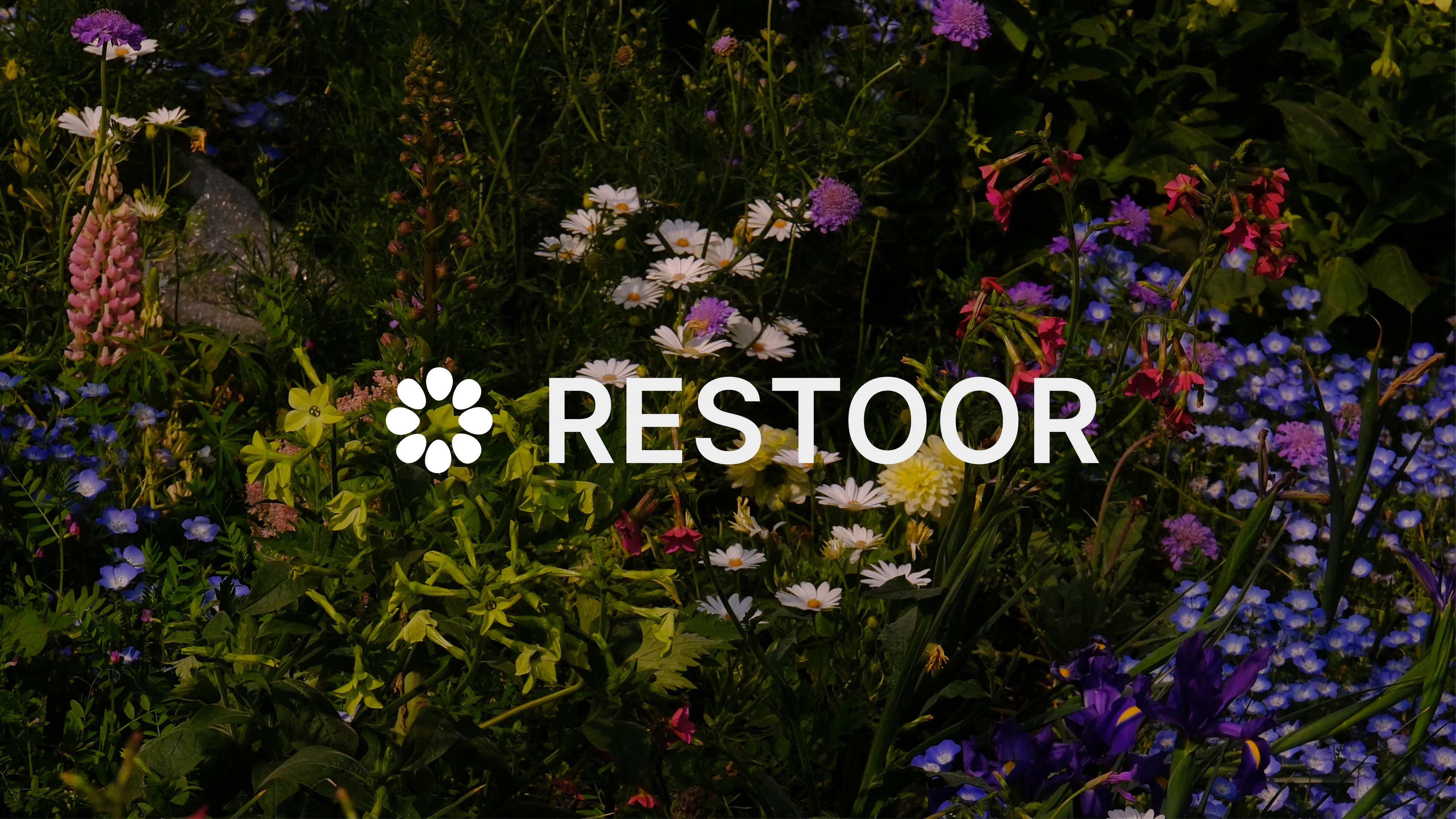 RESTOOR — project page 1